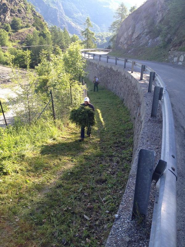 Resoconto Giornata dei Sentieri 2014