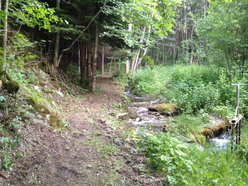 Resoconto Giornata dei Sentieri 2015