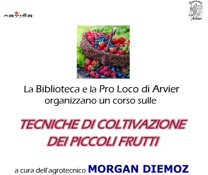 Corso Tecniche di Coltivazione dei Piccoli Frutti