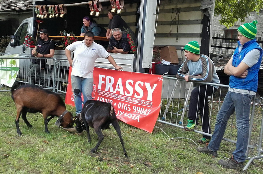 Foto del mese – ottobre 2017