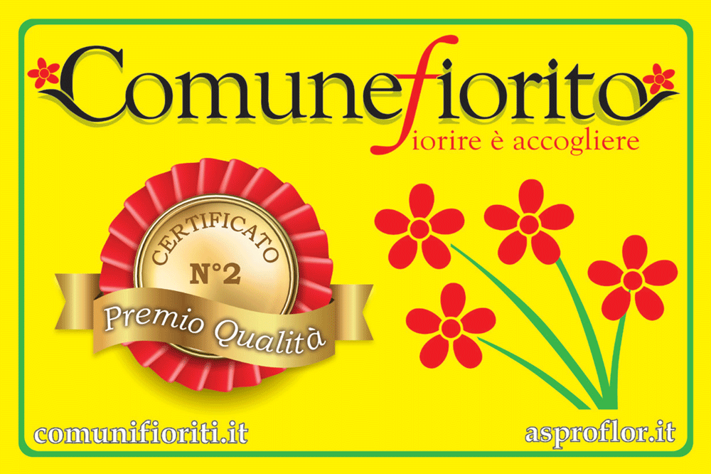 Comune Fiorito
