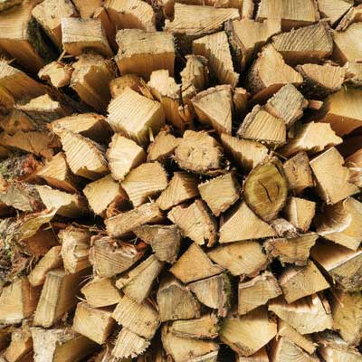 Assegnazione legname da ardere