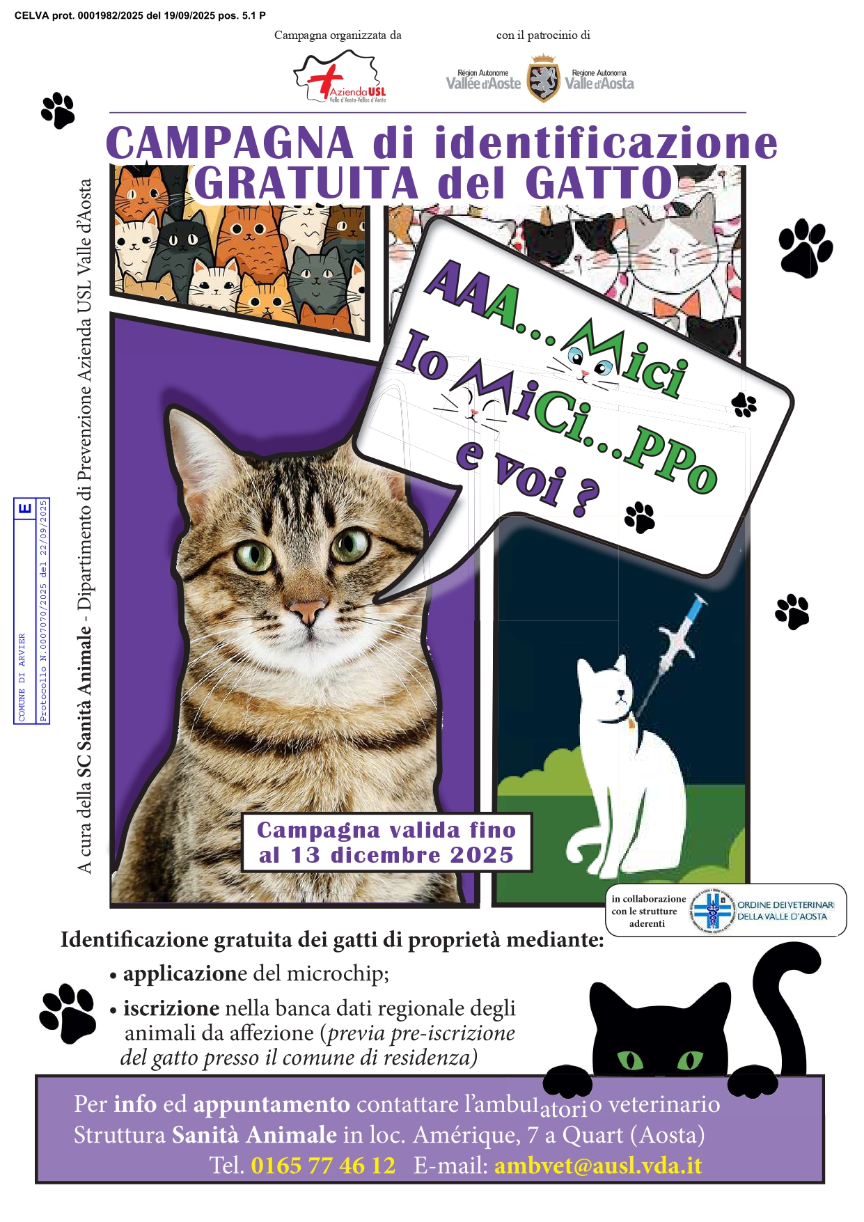 Campagna di identificazione gratuita del gatto